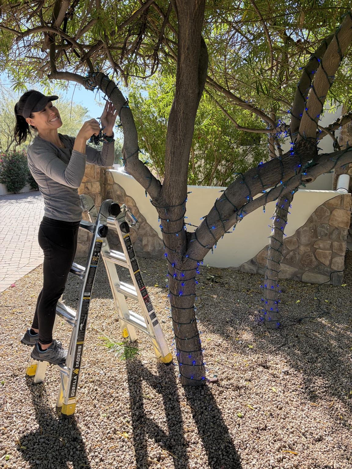 Jodie installing string lights around an outdoor tree